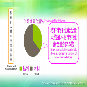 Bagasse Pulp Making Equipment